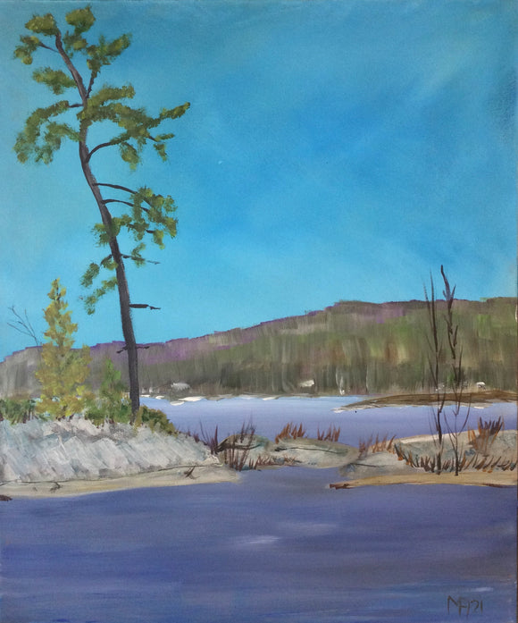 Pine Island Crossing