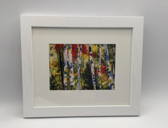 DAYBREAK IN THE FOREST