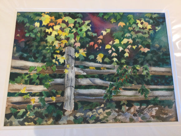 Split Rail, Canatara