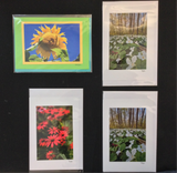 Art Cards