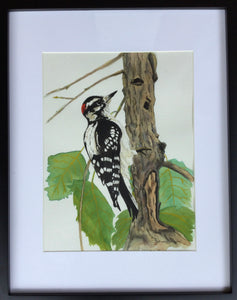 Woodpecker