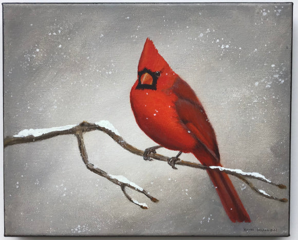 Northern Cardinal