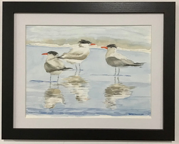 Three Terns on the Beach