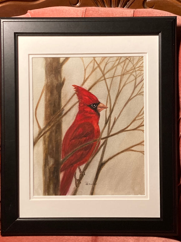 Evening Cardinal