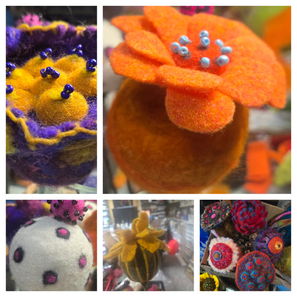 Mixed Funky flower bulbs