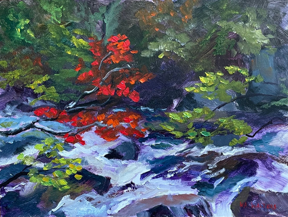 Red Maple At Oxtongue Rapids