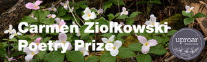 Carmen Ziolkowski Poetry Prize Entry Fee for Members of the Lawrence House