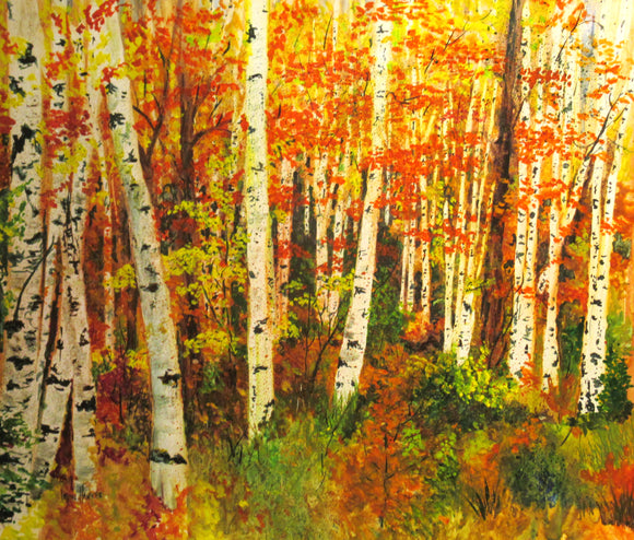 Fall Birch (In Studio)